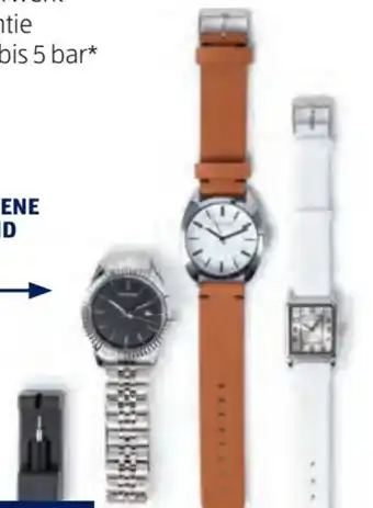 Hofer Damen Armbanduhr Angebot