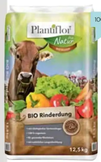 Hellweg Bio-Rinderdung Angebot