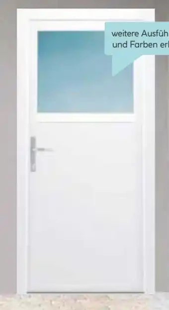 Hellweg Kunststoff-Nebeneingangstür F02 Easy Angebot