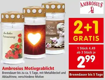 Interspar Ambrosius Motivgrablicht Angebot