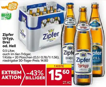 Billa Zipfer Urtyp, Drei od. Hell Angebot
