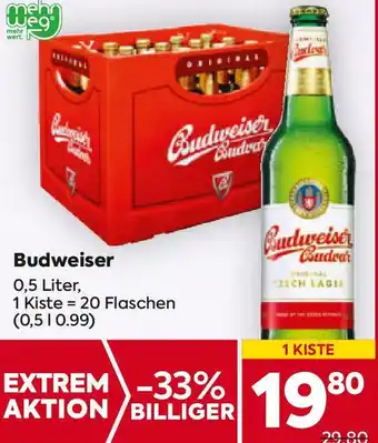 Billa Budweiser 0,5 Liter Angebot
