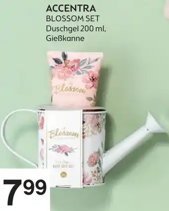 Bipa ACCENTRA BLOSSOM SET Duschgel 200 ml, Gießkanne Angebot