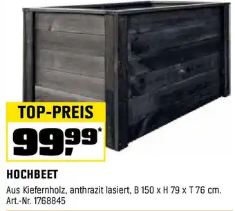 OBI HOCHBEET Angebot