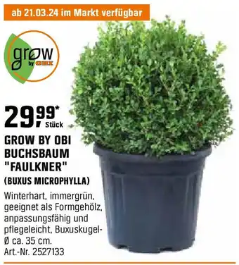 OBI GROW BY OBI BUCHSBAUM "FAULKNER" Angebot