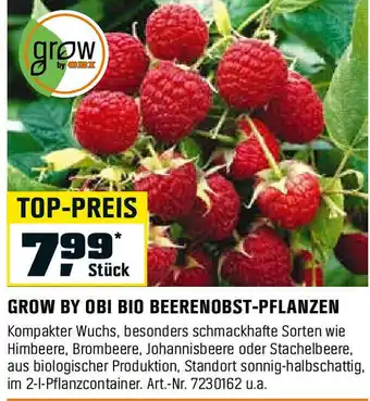 OBI GROW BY OBI BIO BEERENOBST-PFLANZEN Angebot