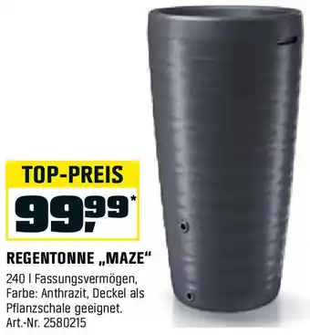 OBI REGENTONNE MAZE Angebot