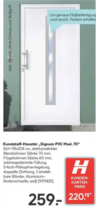 Hellweg Kunststoff-Haustür Angebot