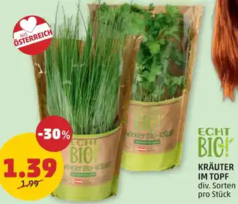 PENNY KRÄUTER IM TOPF div. Sorten pro Stück Angebot