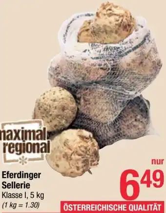 Maximarkt Eferdinger Sellerie 1,5 Kg Angebot