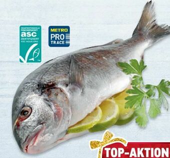 Metro Goldbrasse Angebot