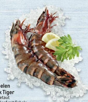 Metro Black Tiger Garnelen Angebot