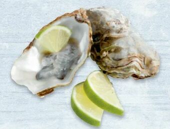 Metro Austern Angebot