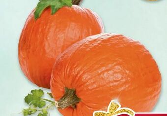 Metro Kürbis Angebot