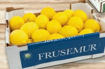Metro Zitronen Angebot