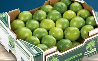 Metro Limetten Angebot