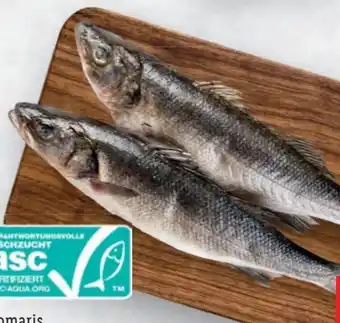 Lidl Wolfsbarsch Angebot