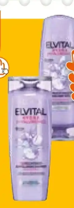 Müller Elvital Shampoo Angebot