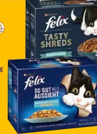 Müller Felix Katzenfutter Angebot