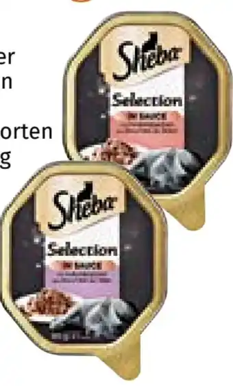 Müller Katzen-Nassfutter Angebot