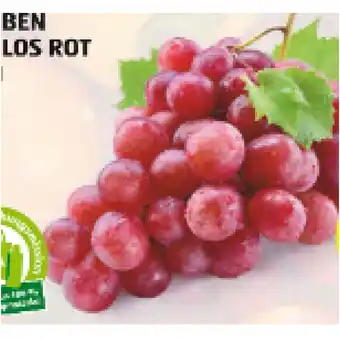 Hofer Hofer Marktplatz Trauben kernlos rot HOFER 500 Gramm 1 Packung Angebot