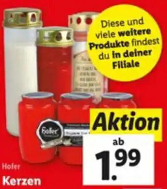 Lidl Hofer Kerzen Angebot