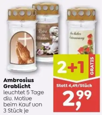 ADEG Ambrosius Grablicht Angebot