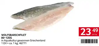 Transgourmet WOLFSBARSCHFILET 80-120g Angebot