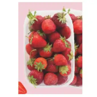 T&G Erdbeeren T&G 500 Gramm 1 Packung Angebot