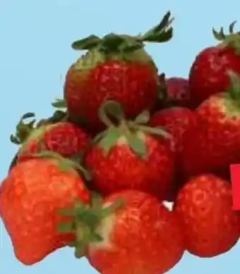 MPreis Erdbeeren Candonga Angebot