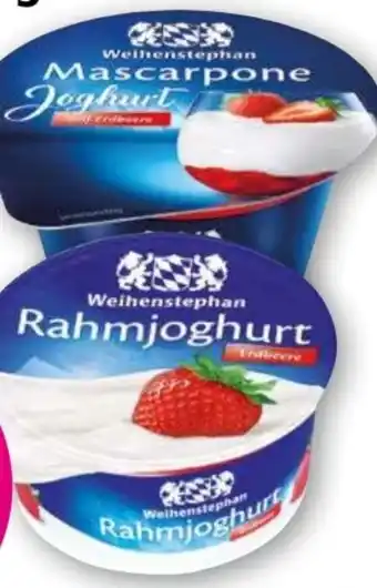 Norma Mascarpone Joghurt Angebot