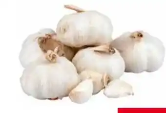 Transgourmet Knoblauch Angebot