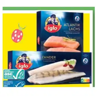 Maximarkt Iglo Dorsch, Zander, Forelle, Atlantik Lachs oder Goldbrasse Maximarkt 1 Packung Angebot