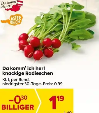 Billa Da komm' ich her! knackige Radieschen Angebot