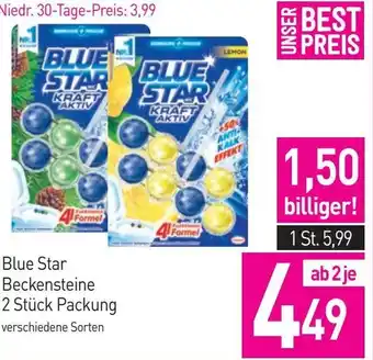 Sutterlüty Blue Star Beckensteine 2 Stück Packung Angebot
