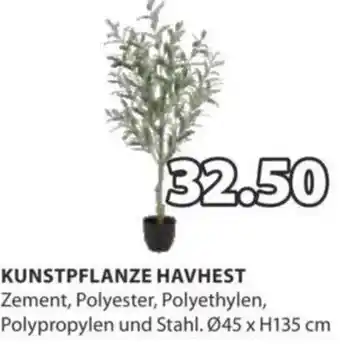 JYSK KUNSTPFLANZE HAVHEST Angebot