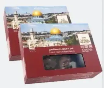 ETSAN Datteln Angebot