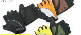 Hofer Damen Radhandschuhe Angebot