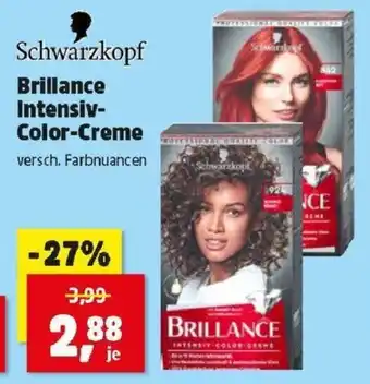 Thomas Philipps Brillance Intensiv- Color-Creme Angebot