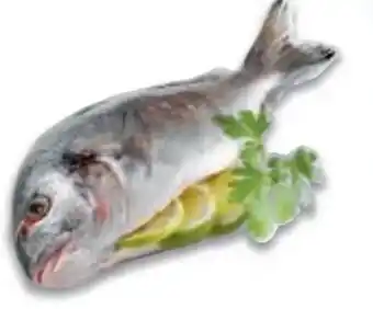 Metro Goldbrasse Angebot