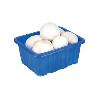 Unimarkt Champignon Unimarkt 250 Gramm 1 Packung Angebot