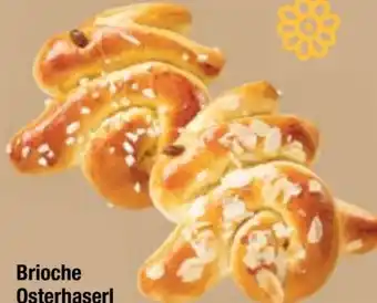 Maximarkt Brioche-Osterhaserl Angebot