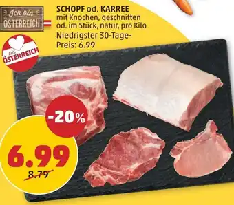 PENNY SCHOPF od. KARREE Angebot