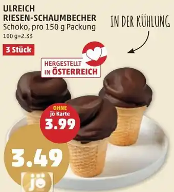 PENNY ULREICH RIESEN-SCHAUMBECHER Angebot