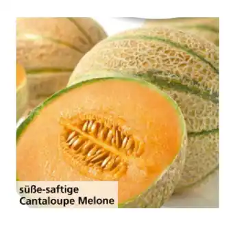 Eurospar süße-saftige Cantaloupe Melone EUROSPAR 1 Stück Angebot