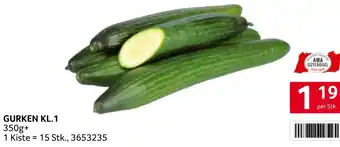 Transgourmet GURKEN KL.1 Angebot
