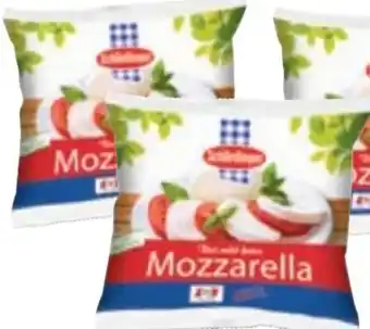 Maximarkt Mozzarella Angebot