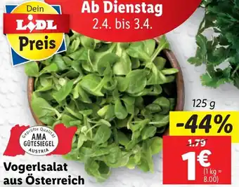 Lidl Vogerlsalat aus Österreich Angebot