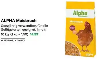 Lagerhaus ALPHA Maisbruch Angebot