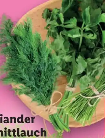 Lidl Dille Angebot
